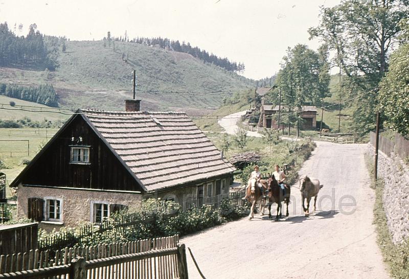 001 (49).jpg - Im Vordergrund Landarbeiterhaus Fam. Siegel, Strasse nach Jocketa über Gruber`s Berg